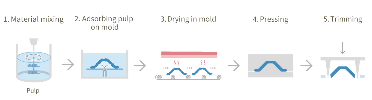 Dry Pulp Molding Forming Process