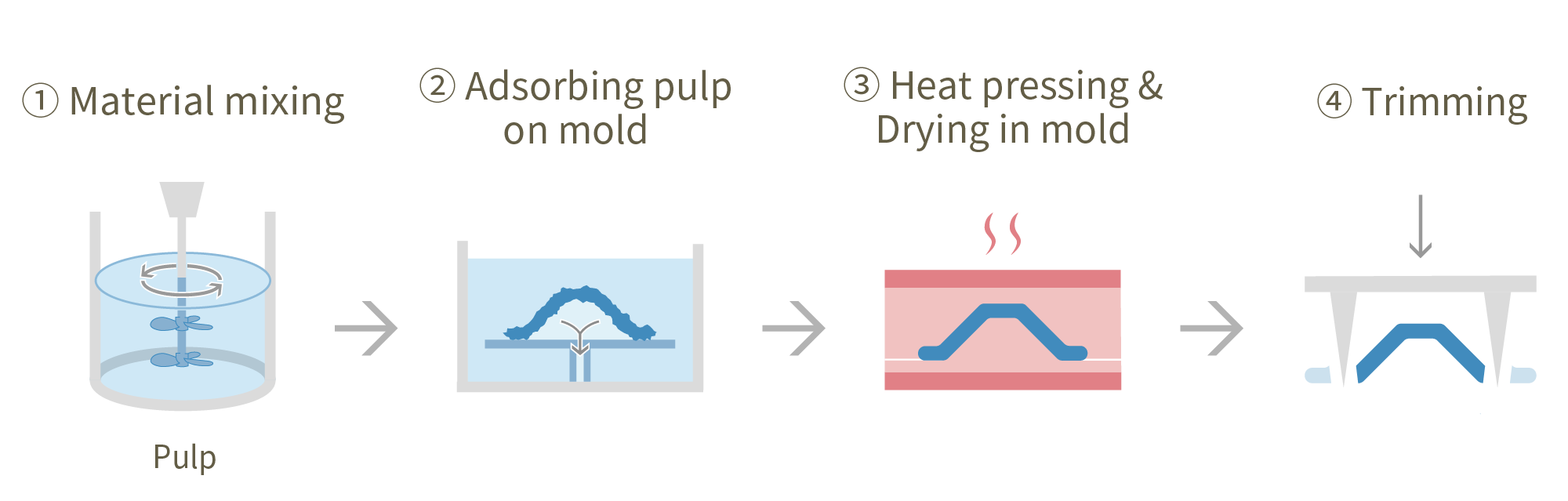 Wet Pulp Molding Forming Process
