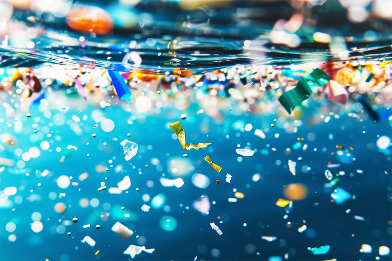 マイクロプラスチックによる海洋汚染