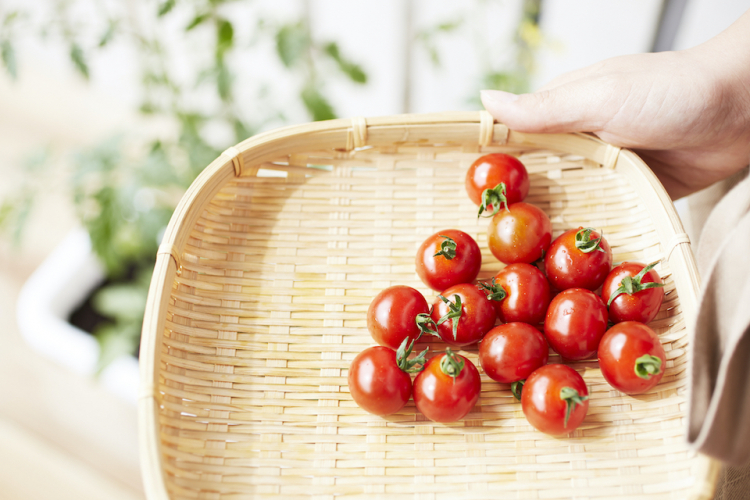 青果物の鮮度が落ちる要因と、鮮度保持対策を紹介！