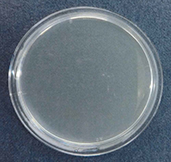 NISSHA-抗菌機能付きIMD成形品_黄色ブドウ球菌
